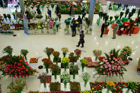 خرم‌دره، میزبان نمایشگاه کشوری گل و گیاهان زینتی و دارویی